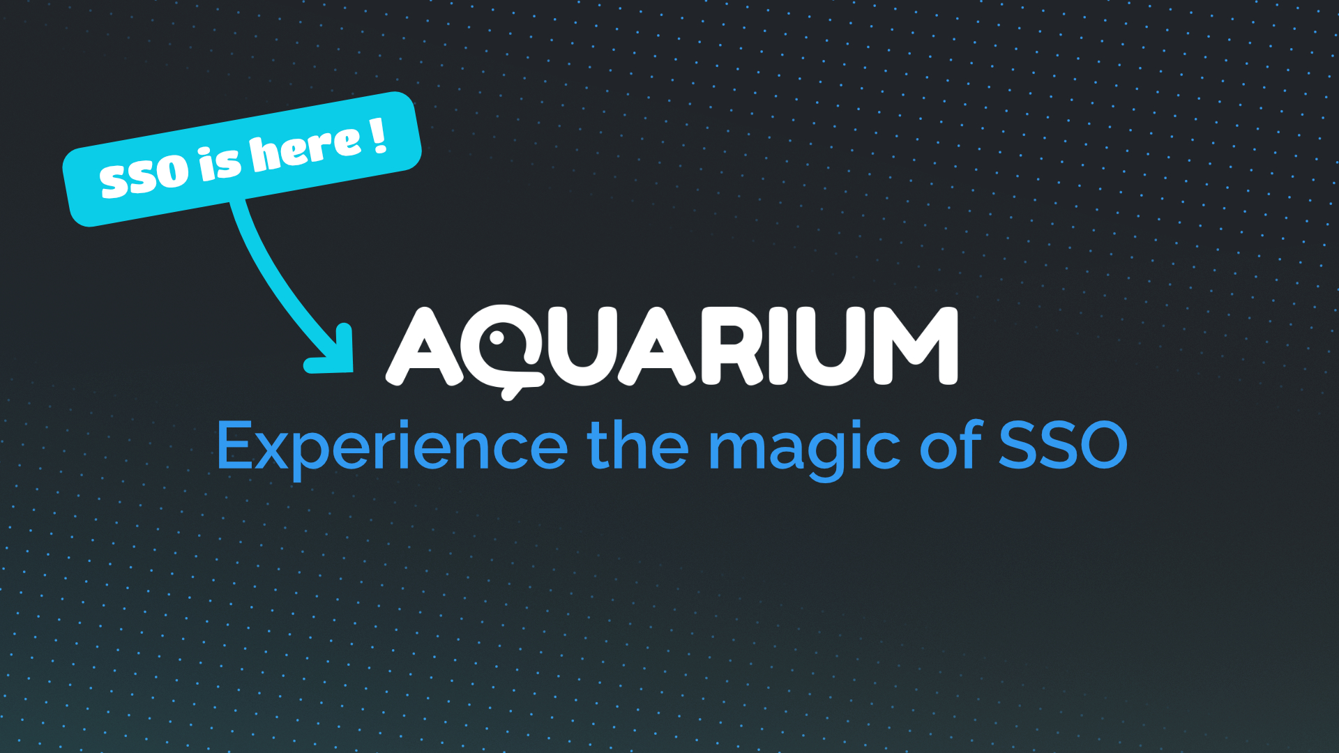 Experience the magic of SSO ✨